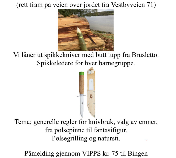 Spikkekurs for barn Søndag 26. september kl 12 ved Fløterbrakka på Sørumsand