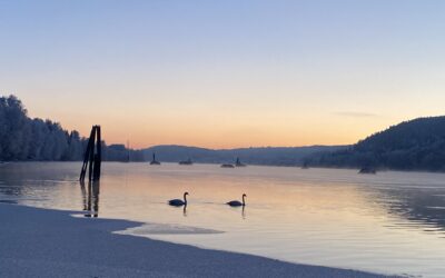 Nytt styre i Bingen Lenseminneforening